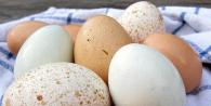 Как понять, испортилось ли яйцо Как определить тухлые яйца не разбивая