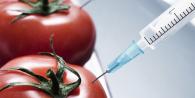 Что такое ГМО: расшифровка аббревиатуры, вред и польза Делают гмо