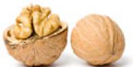 Загадки, пословицы, приметы и стихи про грецкий орех Орех или не орех